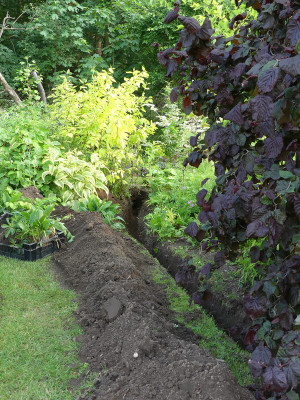 2020-06-12 Garteneinblick 2.jpg