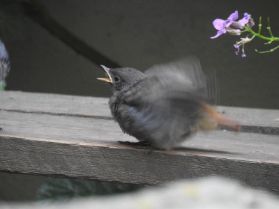 DSCN2328.JPG