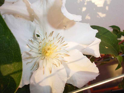 CSaalomon_08_07.jpg