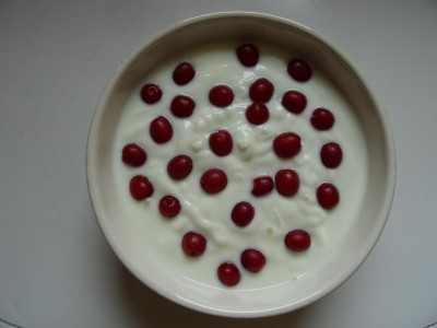 Elaeagnus multiflora Yoghurt Juni 2020.JPG