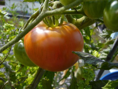 25.08.2007.0.JPG