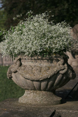 Pflanzgefaess-Hofgarten-Wuerzburg.jpg