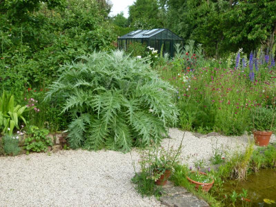 P1170454.JPG