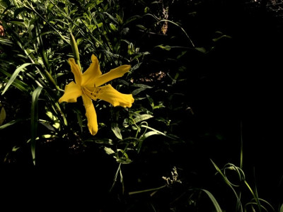 602A7139-A317-41C3-B73C-C69AD216ABC1.jpeg