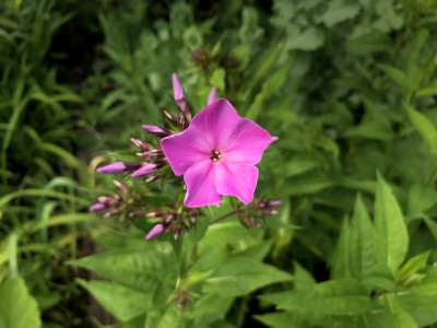 127A511A-B43F-449D-A99C-7308F3A83883.jpeg