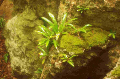 K5110120.jpg