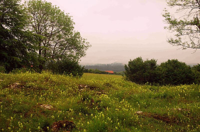 K5110122.jpg
