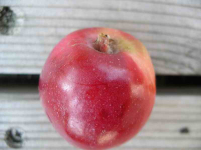 IMGP3987.JPG
