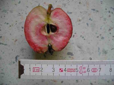 IMGP3991.JPG
