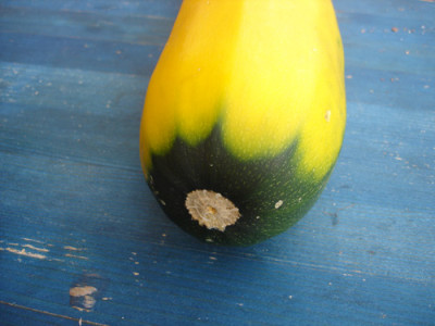 zucchini2.jpg