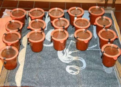 III_Fertige_eingeweckte_Tomatensauce.JPG