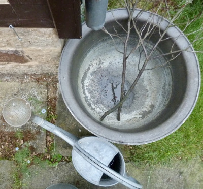 tg_200618.jpg