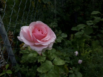 0B183640-31C3-4A1C-9D22-31759DA7094F.jpeg