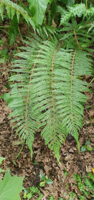 20200619_143305.jpg