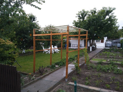 Pergola Wein.jpg