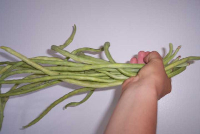 K640_100_4229.JPG