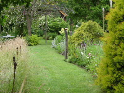 2020-06-20 Gartenimpressionen 3.jpg