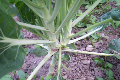 K640_100_4237.JPG
