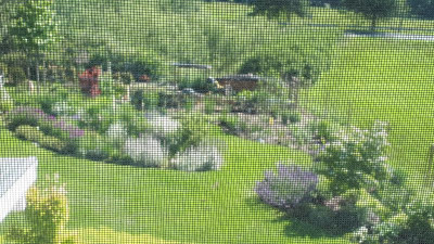 20200621_100911.jpg
