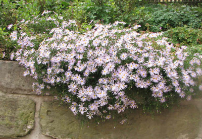 Aster_lutetia3_kl.jpg