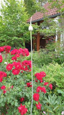20200621_153745.jpg