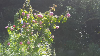 20200621_112608.jpg