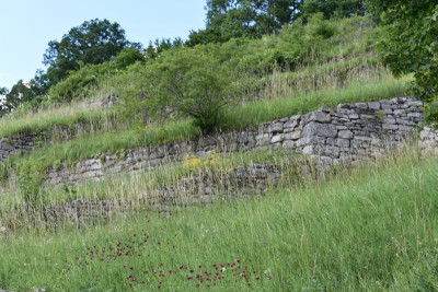 Geigersberg Juni20 067.JPG