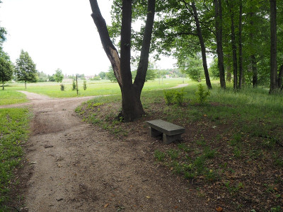 Steinbank 22.6.20 ue.JPG