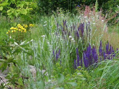 2020-06-22 Garteneinblick 2.jpg