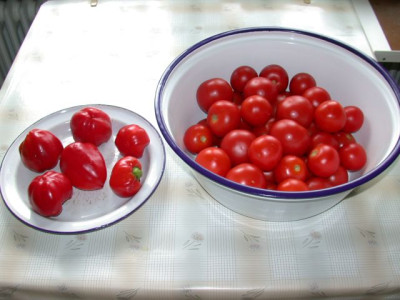 DSCN3185.jpg