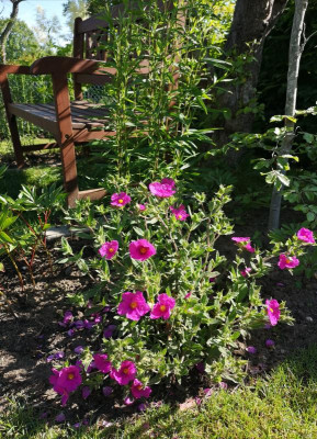 IMG_20200623_102023.jpg