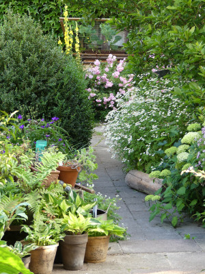 2020-06-23 Garteneinblick 1.jpg