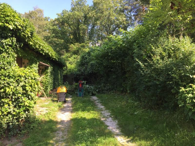 Garagenzufahrt.JPG
