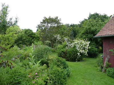 2020-06-24 Garteneinblick 3.jpg