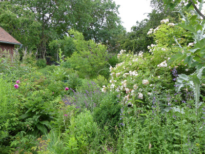 2020-06-24 Garteneinblick 4.jpg