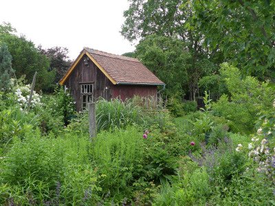 2020-06-24 Garteneinblick 5.jpg