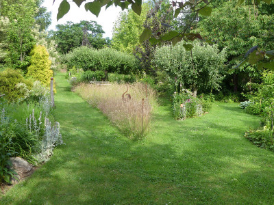 2020-06-24 Garteneinblick 6.jpg