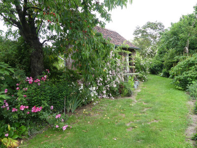 2020-06-24 Garteneinblick 8.jpg