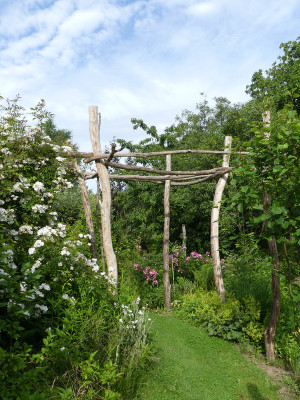 2020-06-24 Pergola.jpg