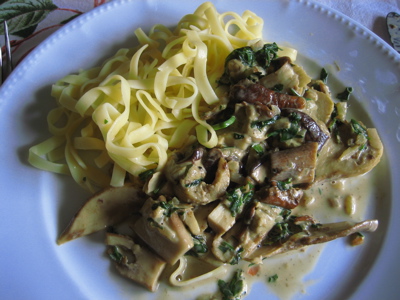 Steinpilzragout.jpg