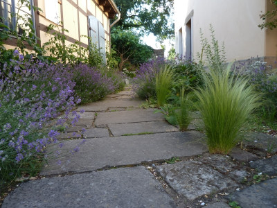 tg_200625_4.jpg