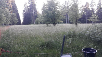 IMG-20200625-WA0010.jpeg