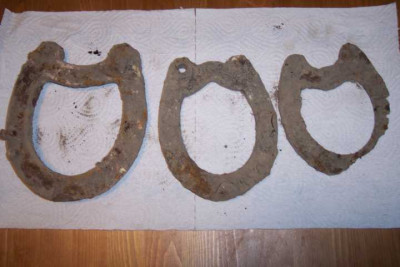 K640_100_4254.JPG