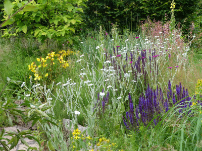 2020-06-26 Gartenimpressionen 1.jpg