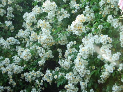 2020_0328EndeJuni0008.JPG