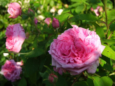 2020_0328EndeJuni0029.JPG