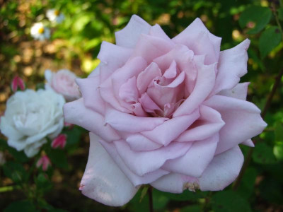 2020_0328EndeJuni0042.JPG
