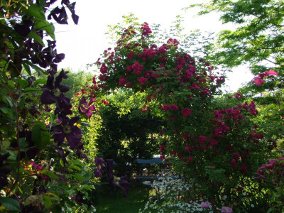 2020_0328EndeJuni0048.JPG