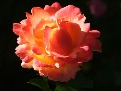 2020_0328EndeJuni0066.JPG