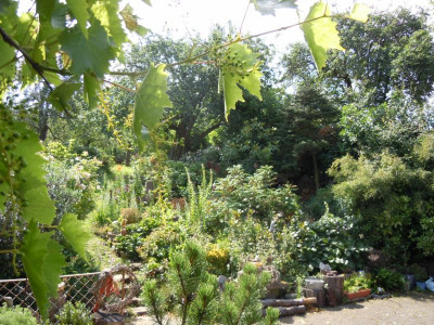 DSCN9698.JPG
